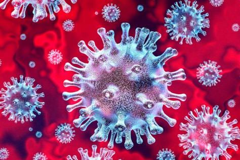 List Dolnośląskiego Kuratora Oświaty