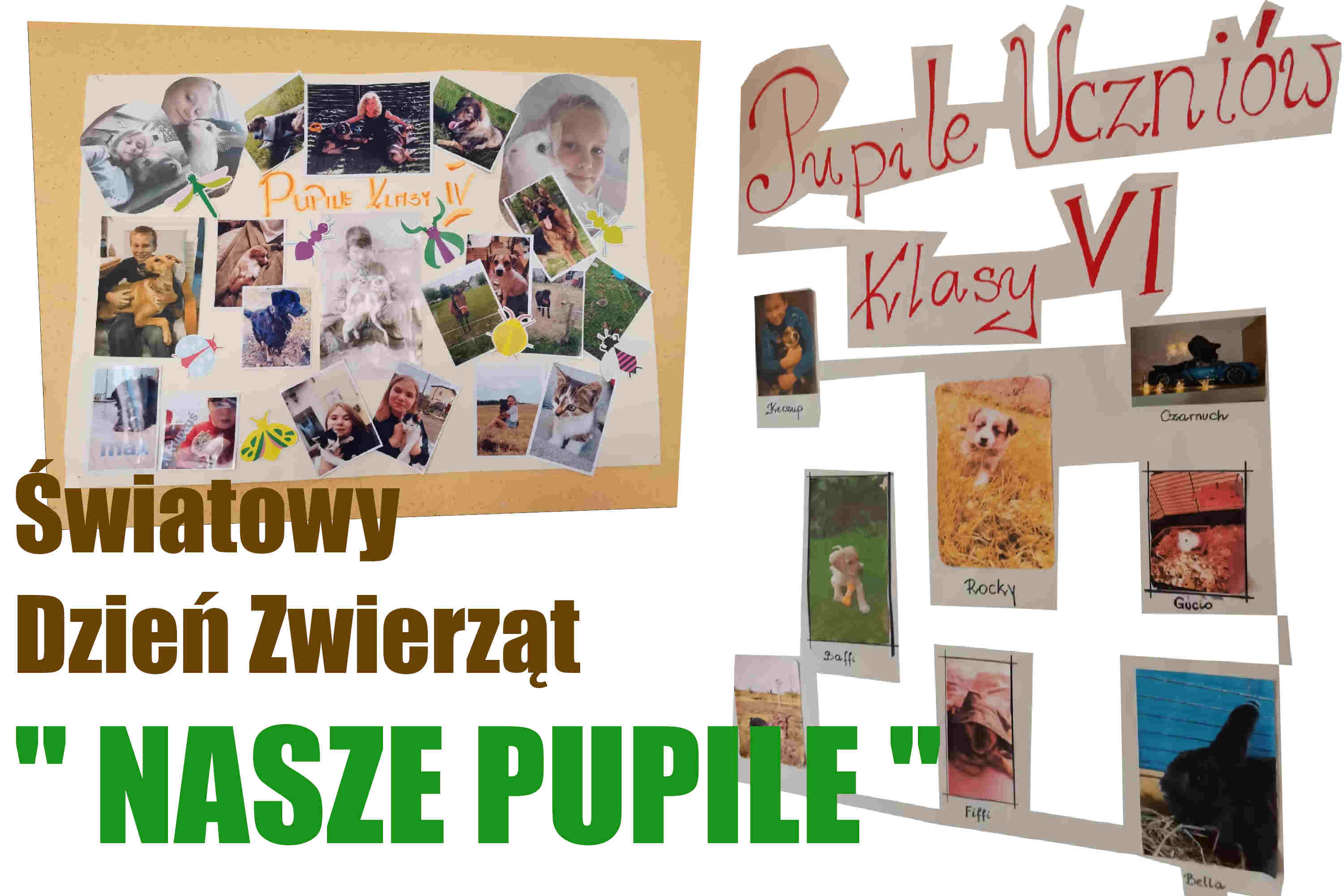 Światowy Dzień Zwierząt "Nasze Pupile"